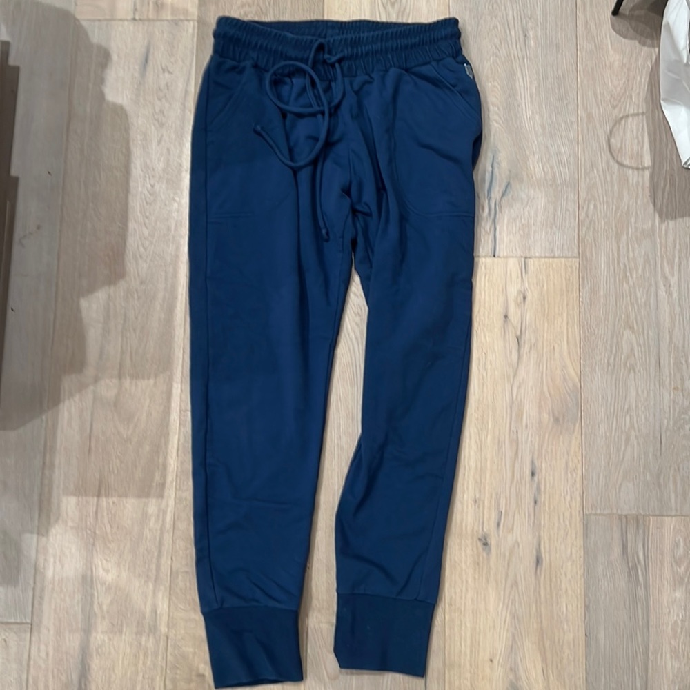 Free people joggers